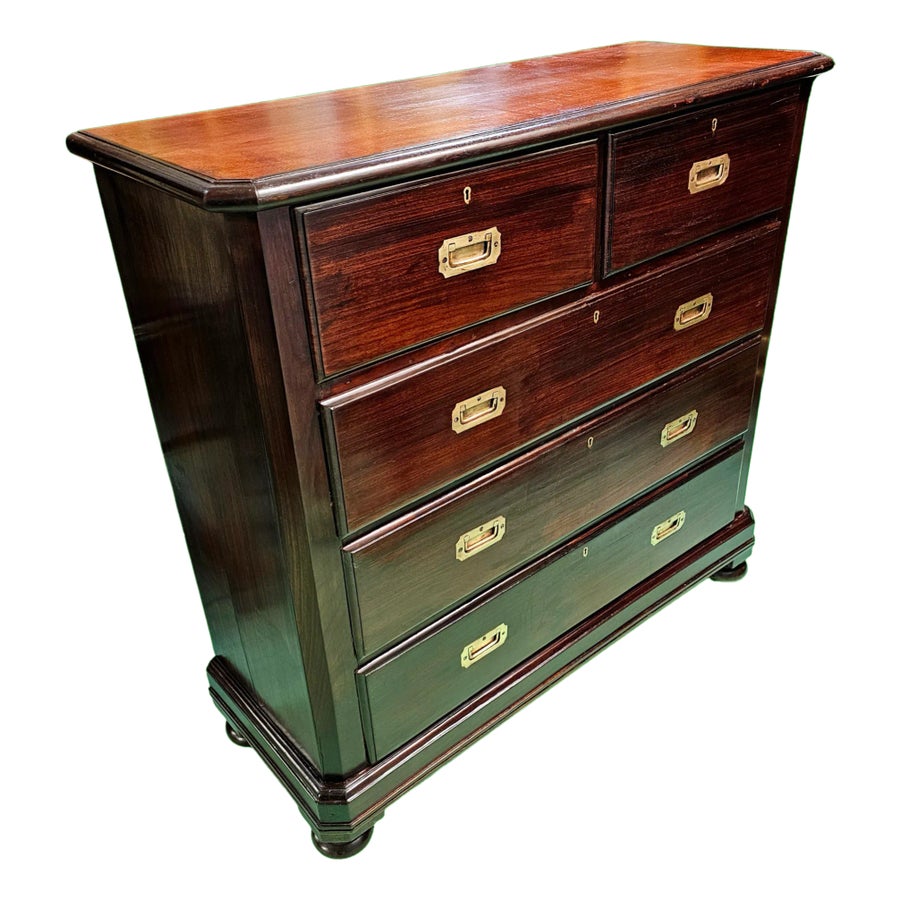 19th Century Rosewood Campaign Chest of Drawers on Bun Feet